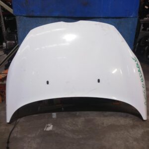 2010 FORD FIESTA BONNET