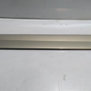 2011 FORD TERRITORY BODY DOOR MOULD