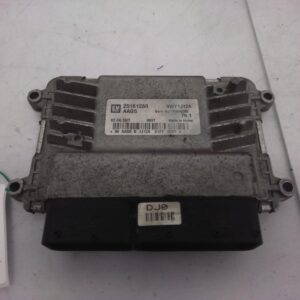 2010 HOLDEN CRUZE ECU