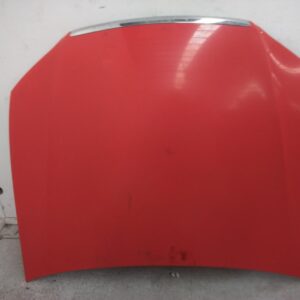 2011 FORD FALCON BONNET