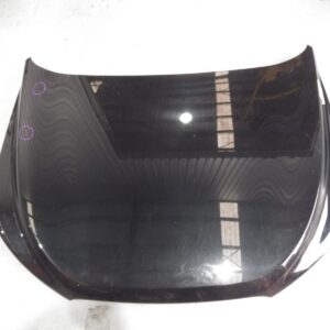 2011 HOLDEN CAPTIVA BONNET