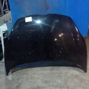 2010 FORD FIESTA BONNET