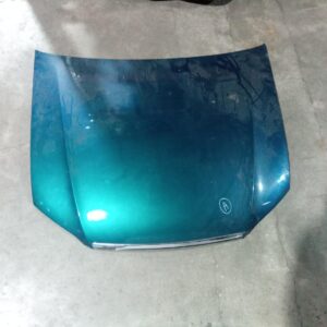 2010 FORD FALCON BONNET