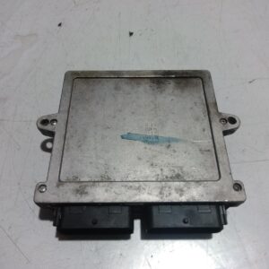 2004 FORD FAIRLANE ECU