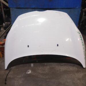 2010 FORD FIESTA BONNET