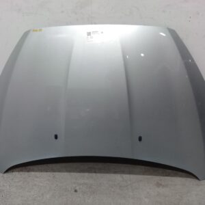 2017 FORD FOCUS BONNET