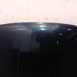 2012 FORD TERRITORY BONNET