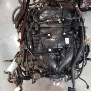 2011 HOLDEN COMMODORE ENGINE