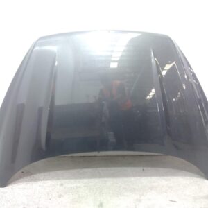 2019 FORD ESCAPE BONNET